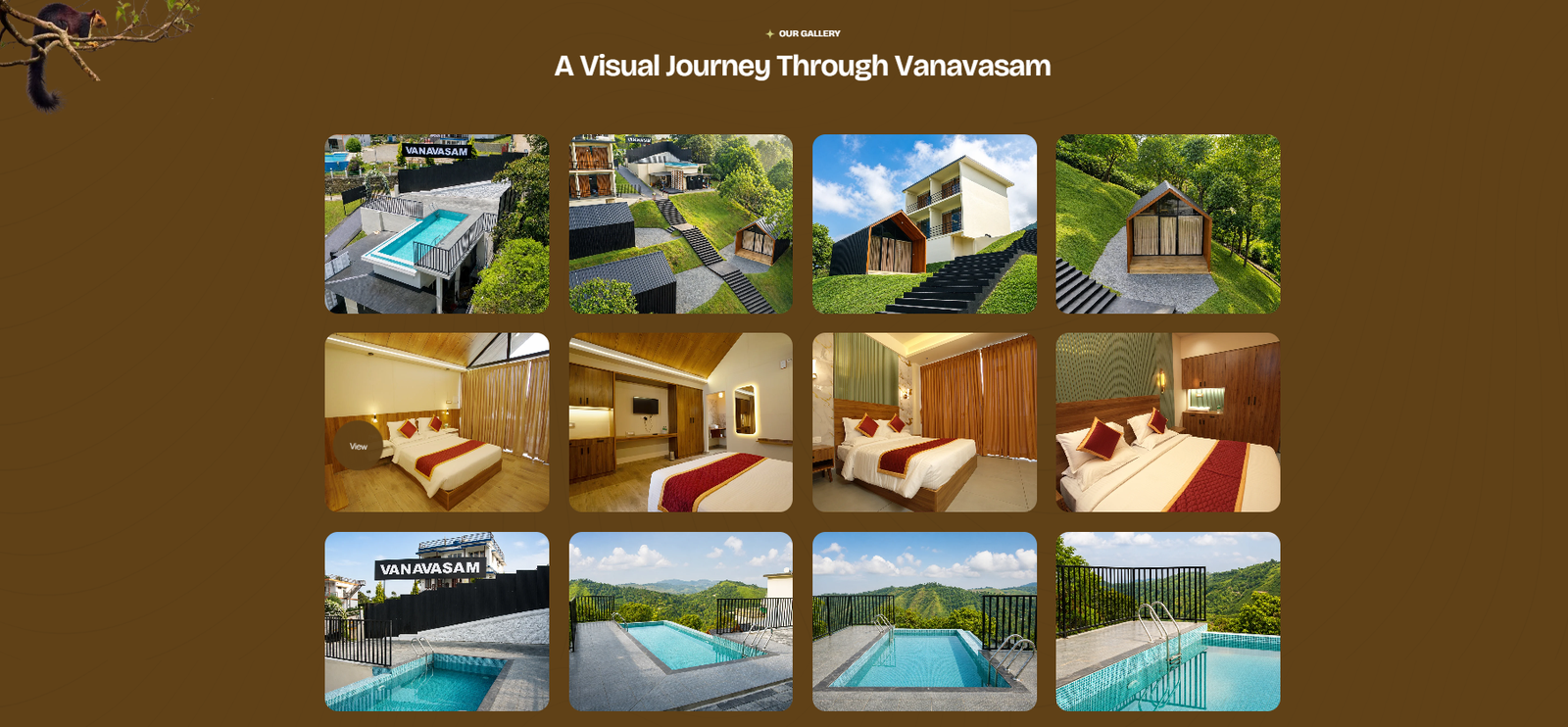 Vanavasam Resorts in Vagamon